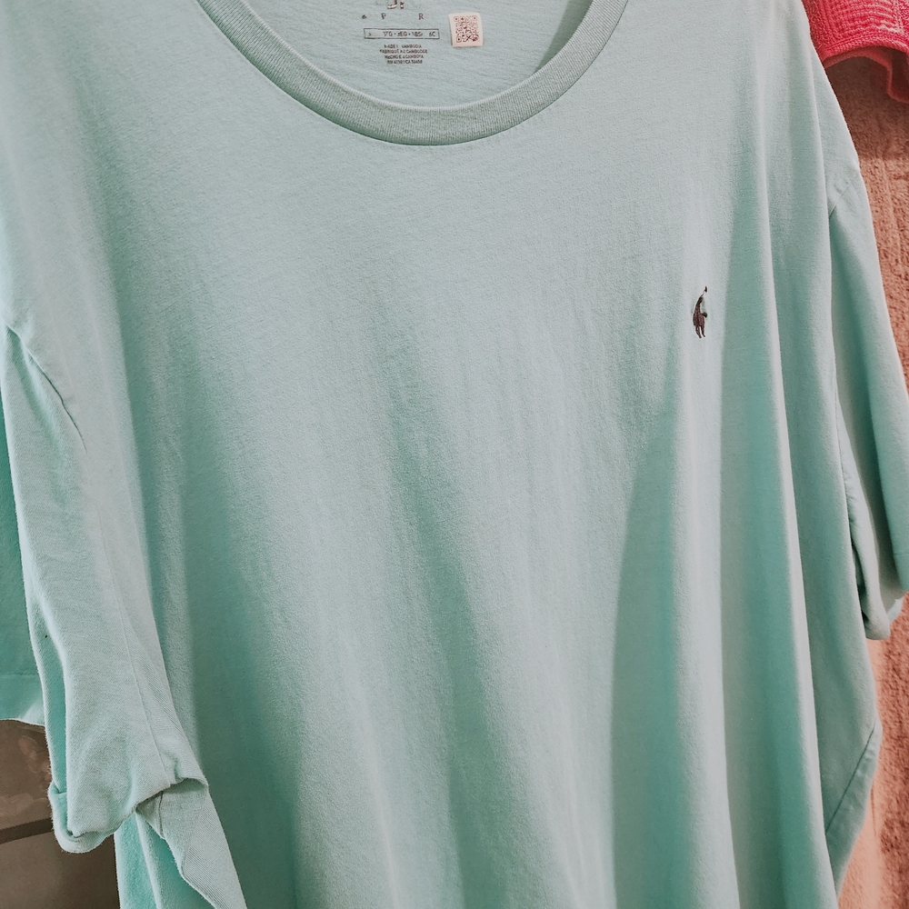 Mens POLO by Ralph Lauren T-shirt, Size 3X
